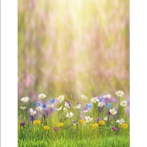 Meet your Posher, Phyllis